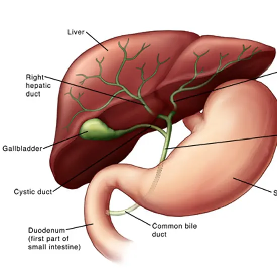 Pancreatic Acute Profile Package class=